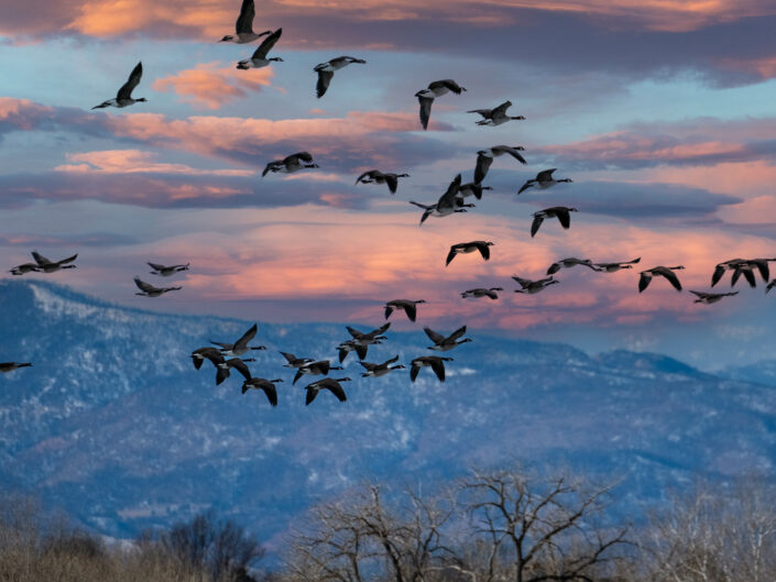 St. Vrain State Park, Colorado